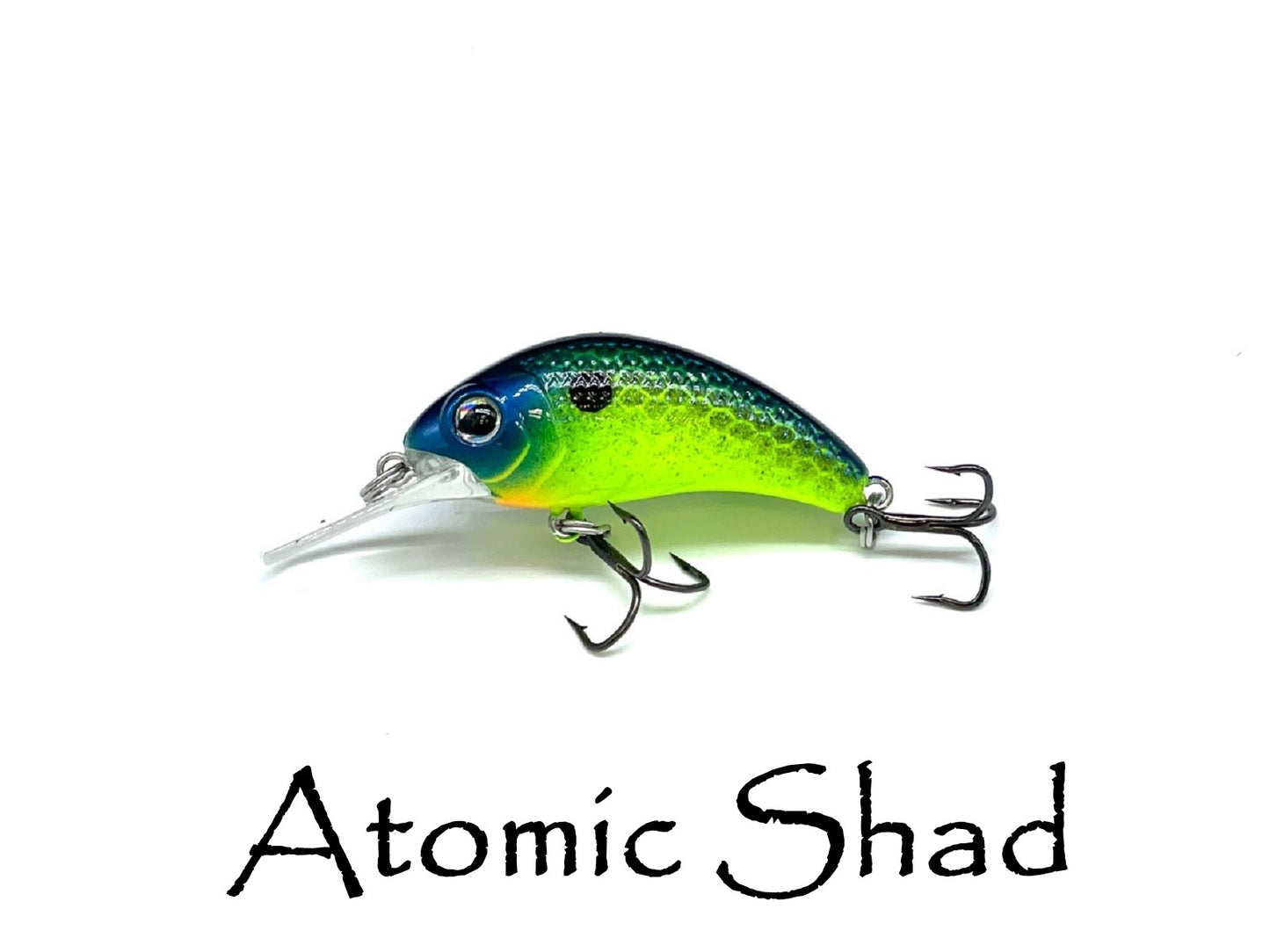 Boogie Shad 4 $5.99