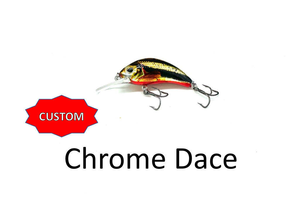 Boogie Shad 4- Custom Colors $9.99