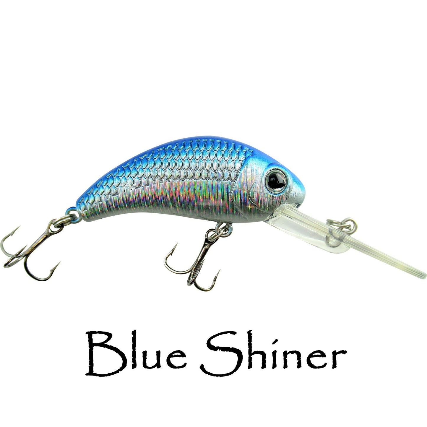 Boogie Shad 5 $5.99