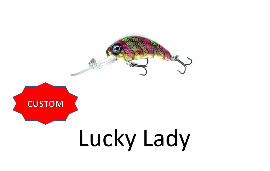 Boogie Shad 5- Custom Colors $9.99