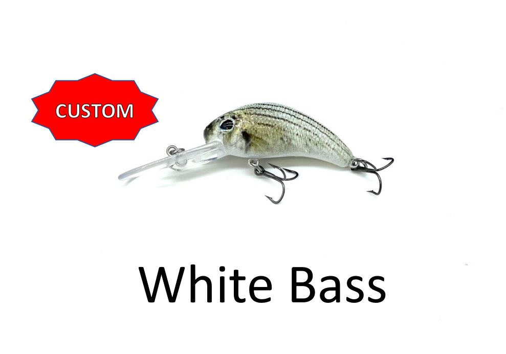 Boogie Shad 5- Custom Colors $9.99