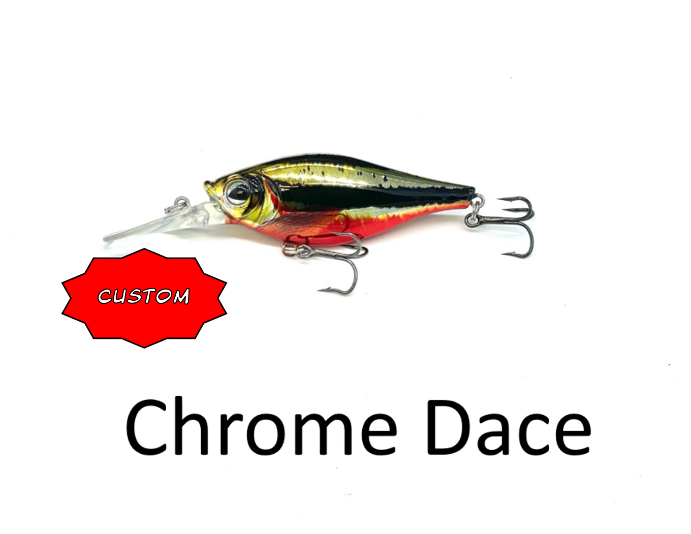 Shaky Shad 7 Customs $9.99