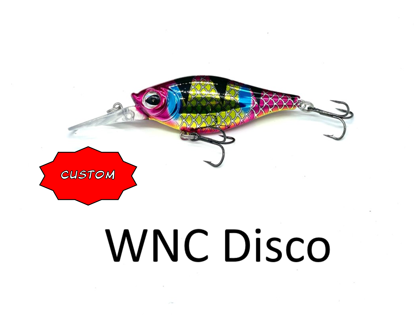 Shaky Shad 7 Customs $9.99