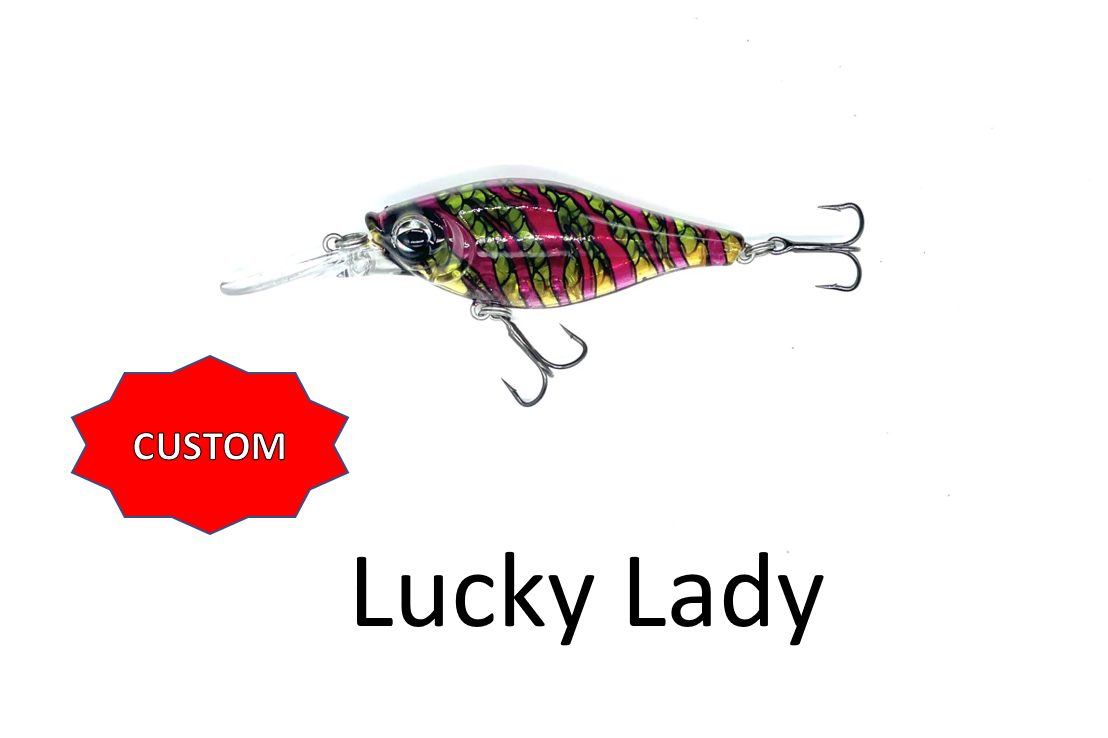 Shaky Shad 5 Customs $9.99