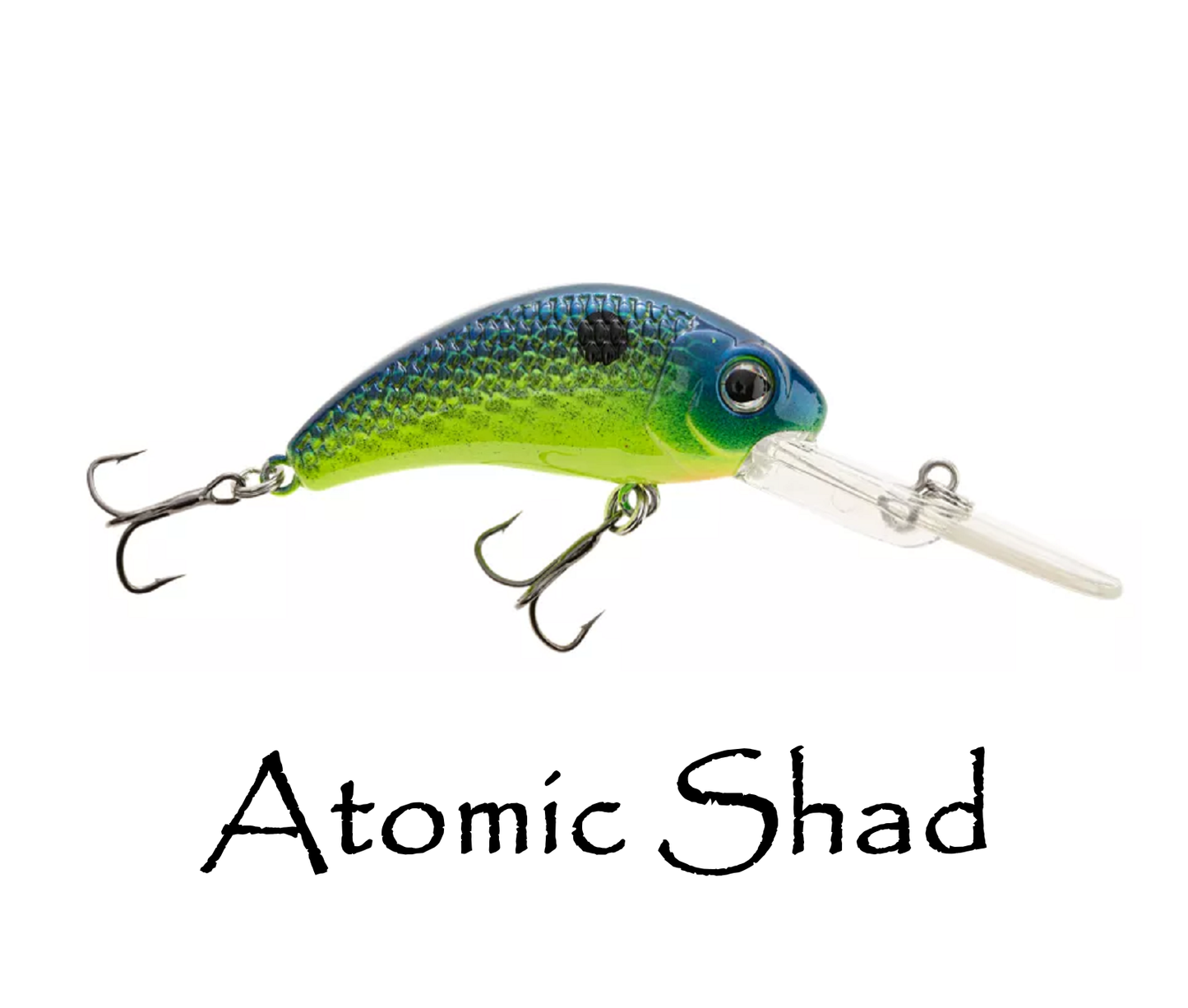 Boogie Shad 5 $5.99