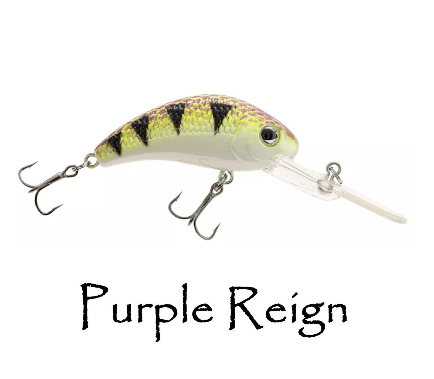 Boogie Shad 5 $5.99