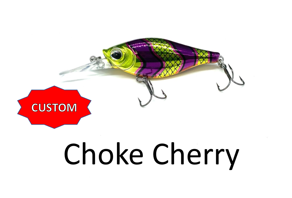 Shaky Shad 5 Customs $9.99